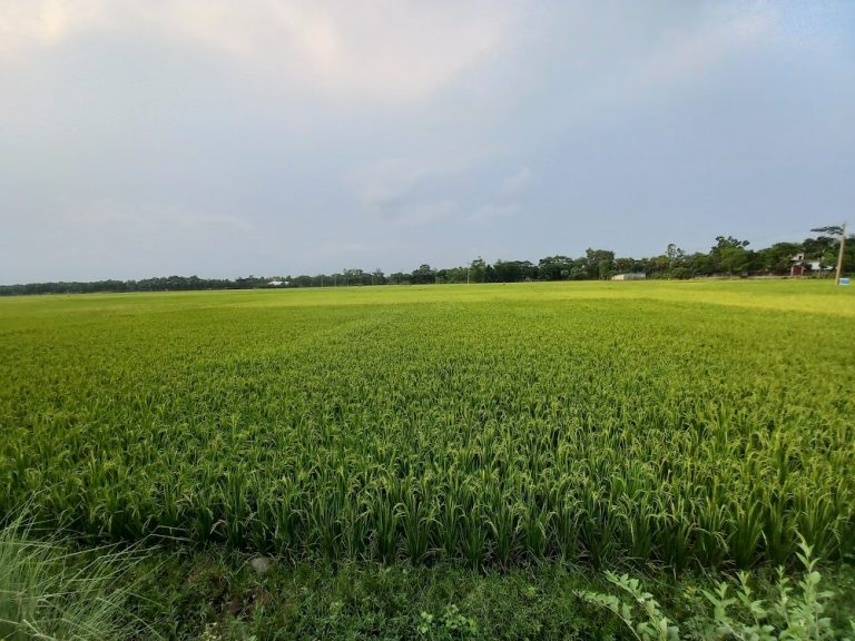 ছবির মতো এই দেশে